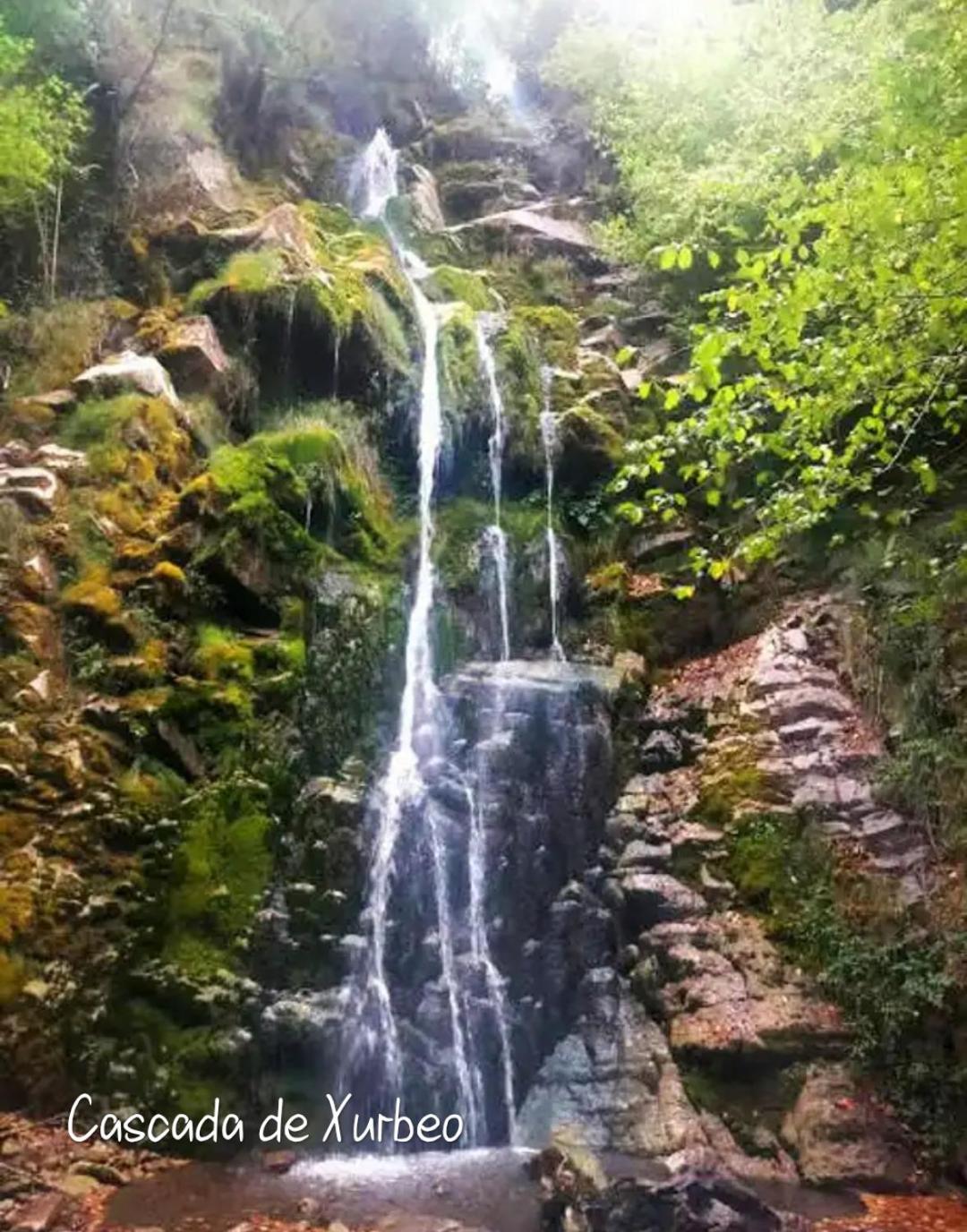 La Berrea Cabanaquinta Aller エクステリア 写真